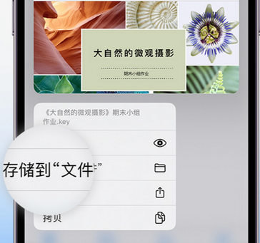 翔安apple维修中心分享iPhone文件应用中存储和找到下载文件