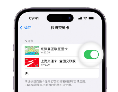 翔安apple维修点分享iPhone上更换Apple Pay快捷交通卡手绘卡面 