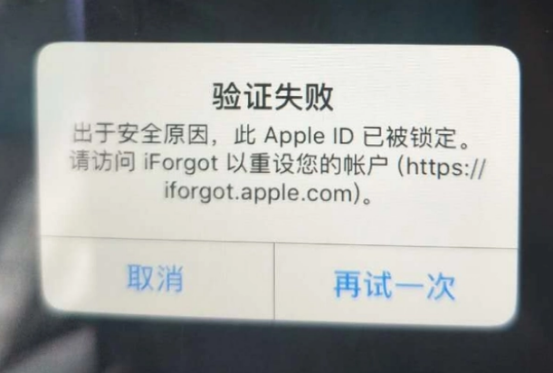 翔安iPhone维修分享iPhone上正常登录或使用AppleID怎么办 