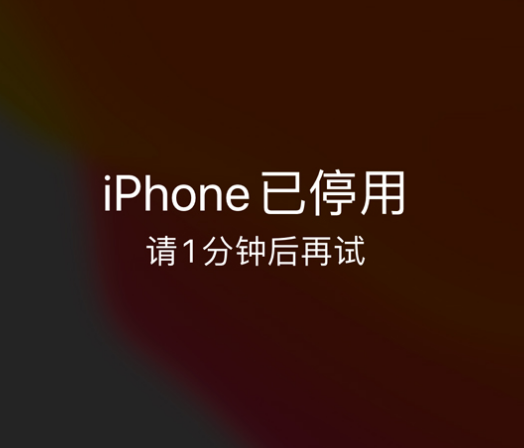 翔安苹果手机维修分享:iPhone 显示“不可用”或“已停用”怎么办？还能保留数据吗？ 