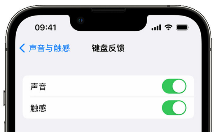 翔安苹果手机维修分享iPhone 14触感键盘使用方法 