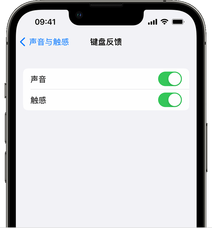 翔安苹果14维修店分享如何在 iPhone 14 机型中使用触感键盘 