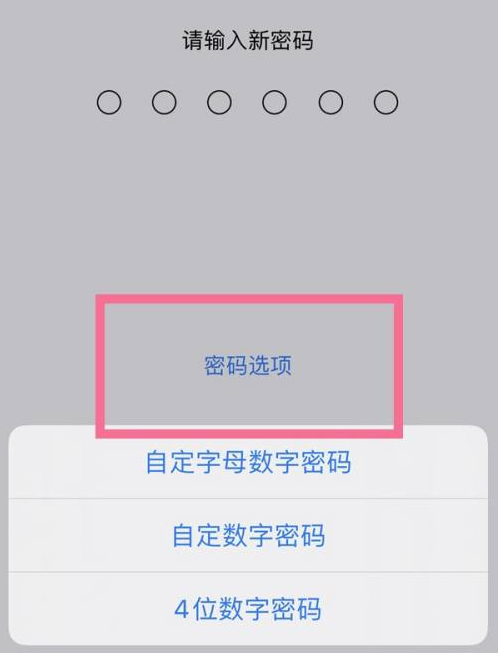 翔安苹果14维修分享iPhone 14plus设置密码的方法 