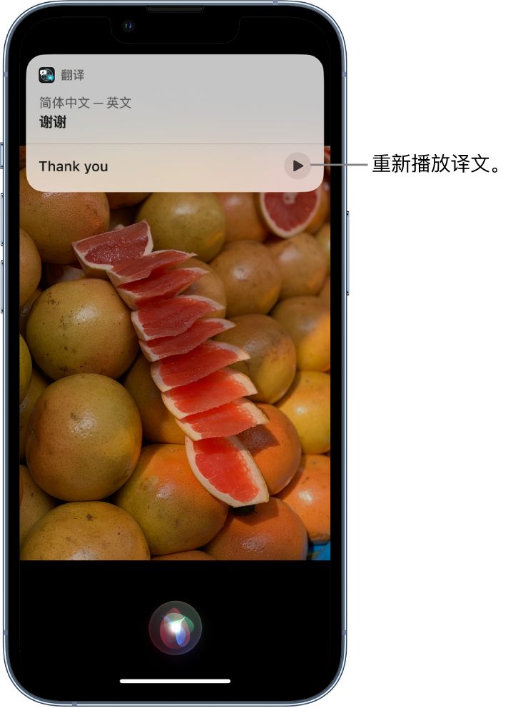 翔安苹果14维修分享 iPhone 14 机型中使用 Siri：了解 Siri 能帮你做什么 