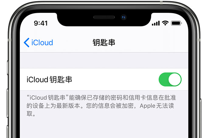 翔安苹果手机维修分享在 iPhone 上开启 iCloud 钥匙串之后会储存哪些信息 