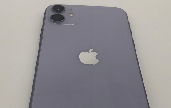 翔安苹果11系统维修分享iPhone11手机系统崩溃无法开机如何解决