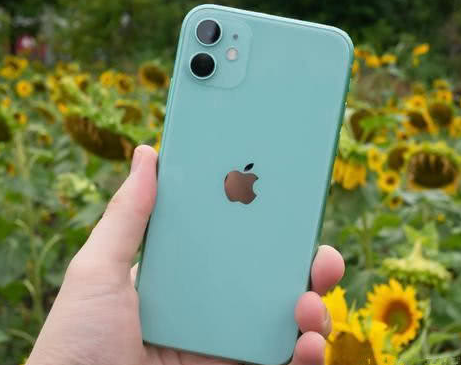 翔安苹果维修点分享iPhone 11锁屏密码认知与使用科普 